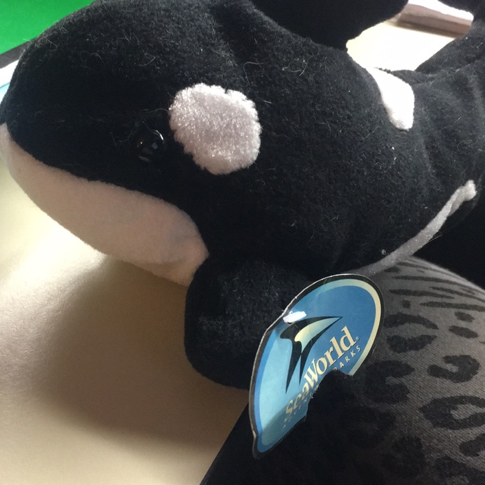 Sea World Shamu - Picture 2 of 5